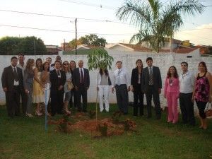 plantio da árvore - comemoração dos 20 anos da VT