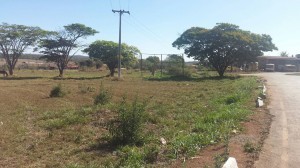 IMG-20140912-WA0009(1)