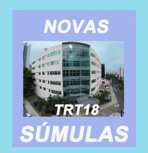 novas-sumulas21