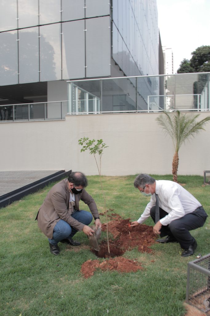 O diretor-geral e o presidente do TRT-18 estão agachados em gramado na frente do TRT colocando terra para plantar muda de árvore