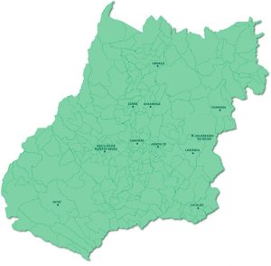 Mapa de Goiás, na cor verde, com as cidades que aderiram ao Cejusc Digital em destaque