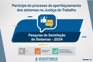 imagem mostra logomarca da pesquisa de satisfação dos sistemas 2024