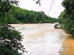 Curso de um rio entre mata ciliar