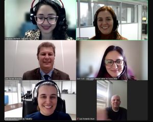 Print de tela de uma audiência realizada virtualmente.