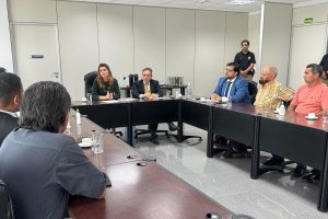 imagem mostra as pessoas participando de uma audiência de conciliação mediada pela desembargadora Iara Rios